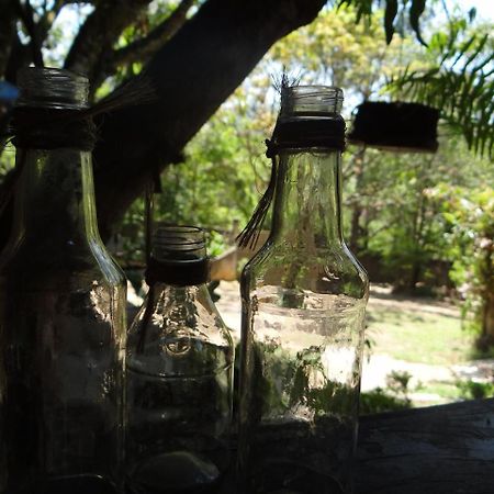 לינה וארוחת בוקר Jacareí Chale Rancho Aratama מראה חיצוני תמונה